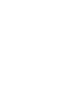 rwz logo header